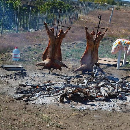 Cabanas Capitan Guillermo Punta Arenas Ngoại thất bức ảnh
